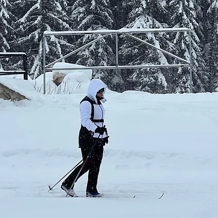 Aras Jahorina