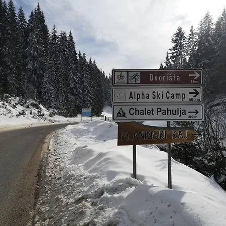 Aras Jahorina