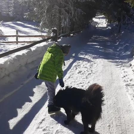 Aras דירה יהורינה