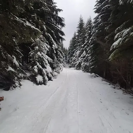Aras Apartment Jahorina