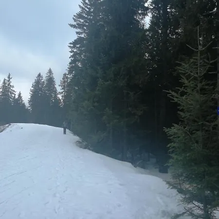 Aras * Jahorina