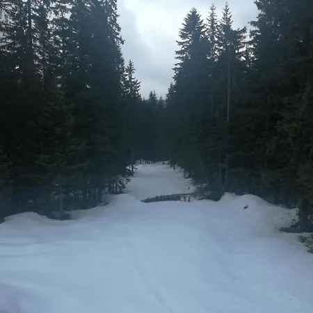 Aras Apartment Jahorina