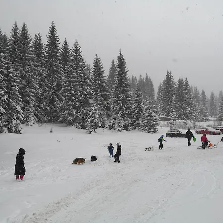 Апартаменты Aras *