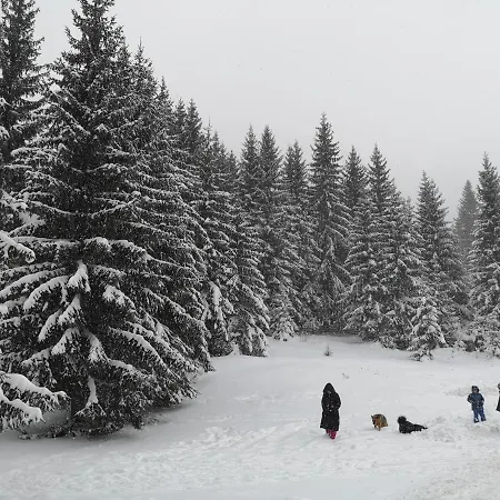 Aras Jahorina