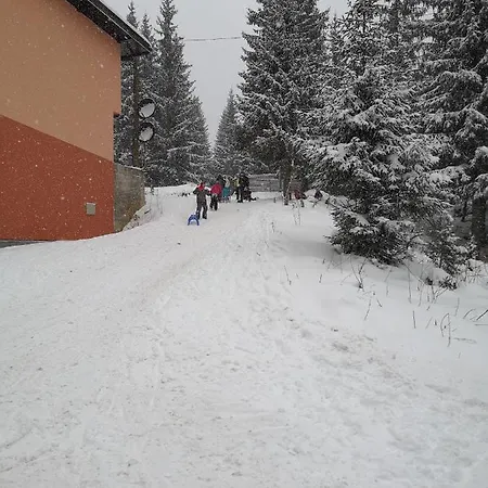 Aras Jahorina