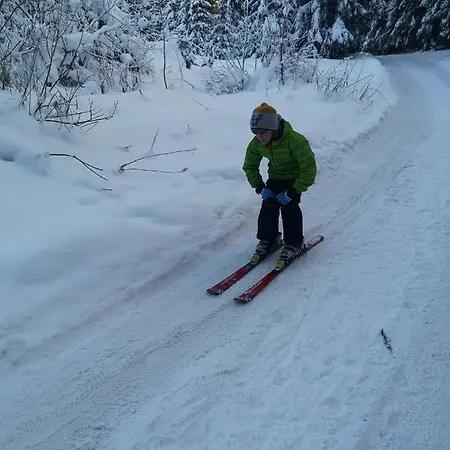 Aras Jahorina