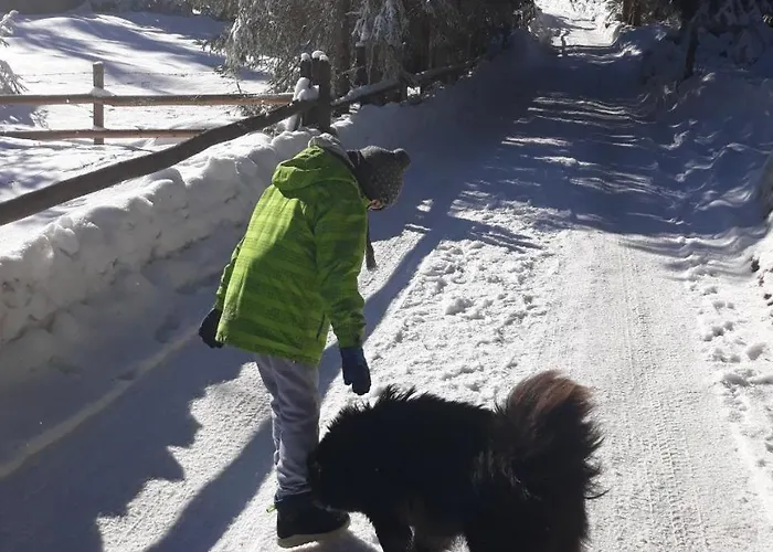 Aras Apartman Jahorina